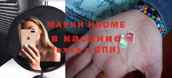 индика Михайловск